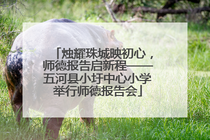 烛耀珠城映初心，师德报告启新程——五河县小圩中心小学举行师德报告会