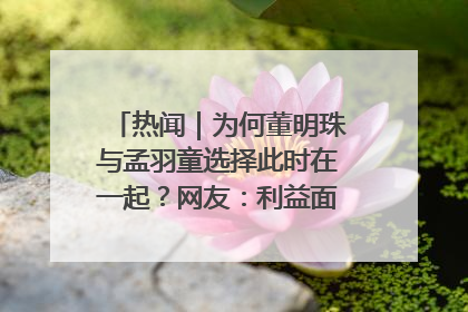 热闻｜为何董明珠与孟羽童选择此时在一起？网友：利益面前啥都能和解