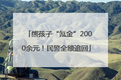 熊孩子“氪金”2000余元！民警全额追回