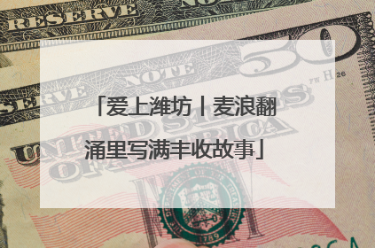 爱上潍坊丨麦浪翻涌里写满丰收故事