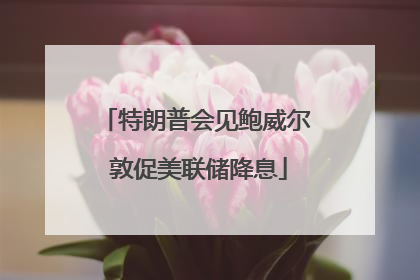 特朗普会见鲍威尔 敦促美联储降息