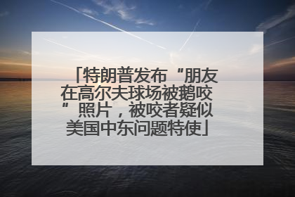 特朗普发布“朋友在高尔夫球场被鹅咬”照片，被咬者疑似美国中东问题特使