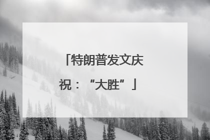 特朗普发文庆祝：“大胜”