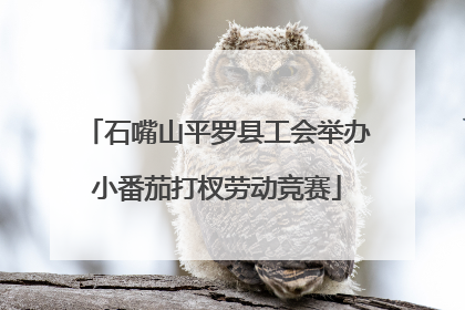 石嘴山平罗县工会举办小番茄打杈劳动竞赛