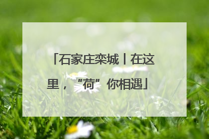 石家庄栾城丨在这里，“荷”你相遇