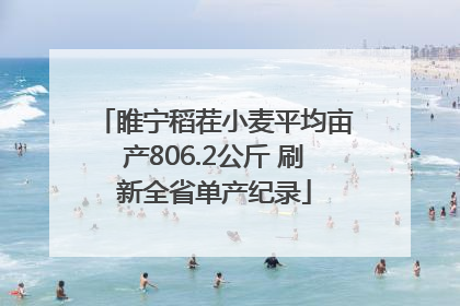 睢宁稻茬小麦平均亩产806.2公斤 刷新全省单产纪录