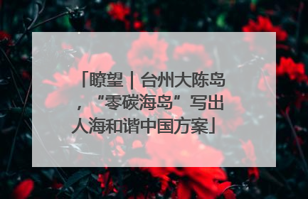 瞭望｜台州大陈岛，“零碳海岛”写出人海和谐中国方案