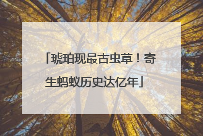 琥珀现最古虫草！寄生蚂蚁历史达亿年