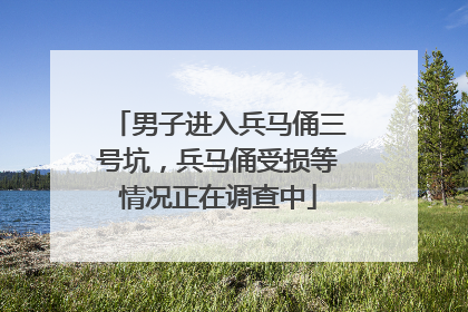 男子进入兵马俑三号坑，兵马俑受损等情况正在调查中