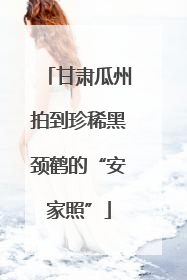 甘肃瓜州拍到珍稀黑颈鹤的“安家照”