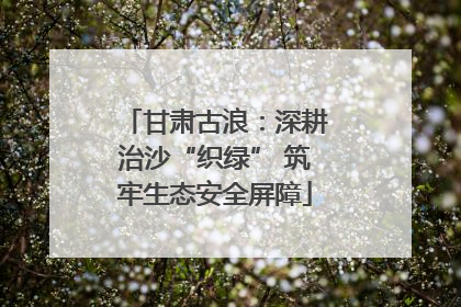 甘肃古浪：深耕治沙“织绿” 筑牢生态安全屏障