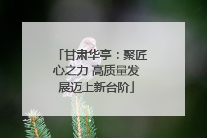 甘肃华亭：聚匠心之力 高质量发展迈上新台阶