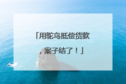 用鸵鸟抵偿货款，案子结了！
