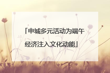 申城多元活动为端午经济注入文化动能