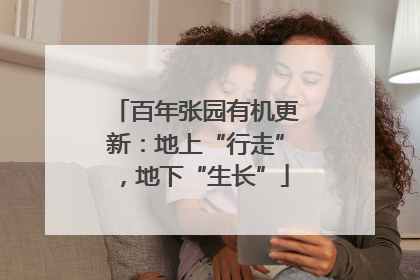 百年张园有机更新：地上“行走”，地下“生长”
