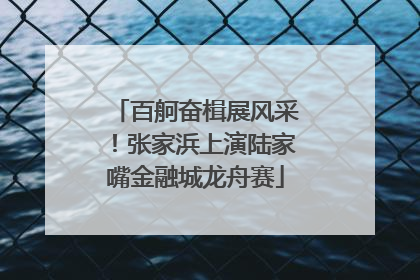 百舸奋楫展风采！张家浜上演陆家嘴金融城龙舟赛