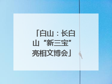 白山：长白山“新三宝”亮相文博会