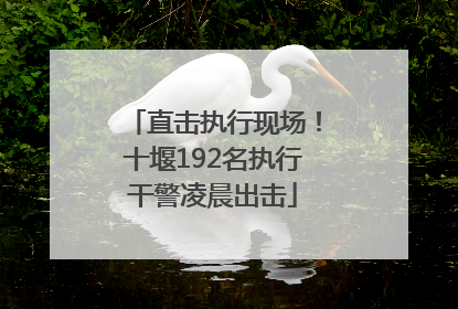直击执行现场！十堰192名执行干警凌晨出击