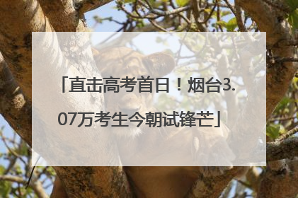直击高考首日！烟台3.07万考生今朝试锋芒
