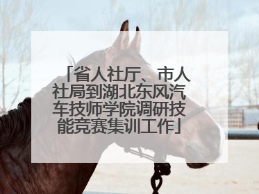 省人社厅、市人社局到湖北东风汽车技师学院调研技能竞赛集训工作