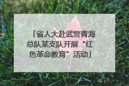 省人大赴武警青海总队某支队开展“红色革命教育”活动