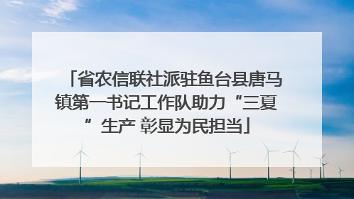 省农信联社派驻鱼台县唐马镇第一书记工作队助力“三夏”生产 彰显为民担当