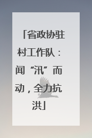 省政协驻村工作队：闻“汛”而动，全力抗洪