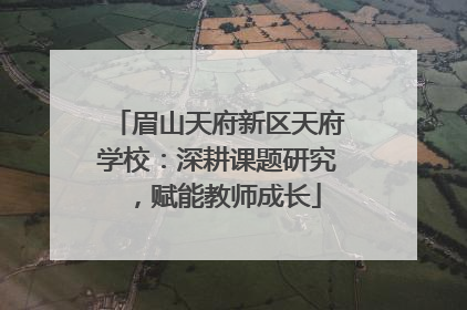 眉山天府新区天府学校：深耕课题研究，赋能教师成长