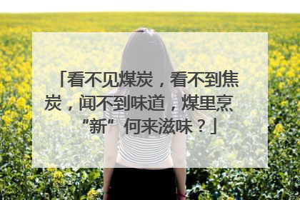看不见煤炭，看不到焦炭，闻不到味道，煤里烹“新”何来滋味？