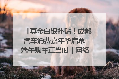 真金白银补贴！成都汽车消费嘉年华启幕 端午购车正当时｜网络中国节·端午