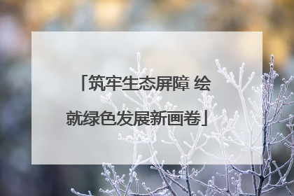 筑牢生态屏障 绘就绿色发展新画卷