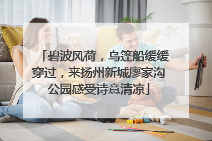 碧波风荷，乌篷船缓缓穿过，来扬州新城廖家沟公园感受诗意清凉