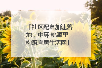 社区配套加速落地，中环·桃源里构筑宜居生活圈