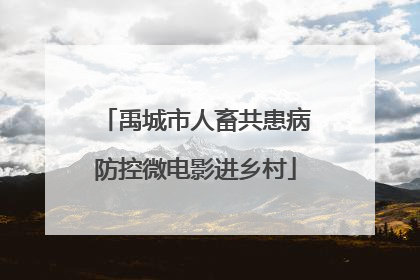 禹城市人畜共患病防控微电影进乡村