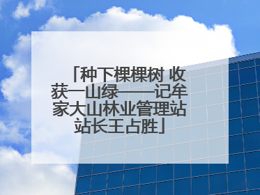 种下棵棵树 收获一山绿——记牟家大山林业管理站站长王占胜