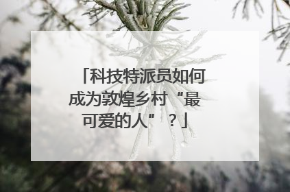 科技特派员如何成为敦煌乡村“最可爱的人”？