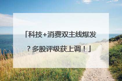 科技+消费双主线爆发？多股评级获上调！