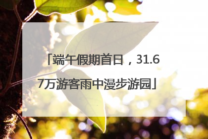 端午假期首日，31.67万游客雨中漫步游园