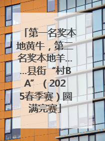 第一名奖本地黄牛，第二名奖本地羊……县街“村BA”（2025春季赛）圆满完赛