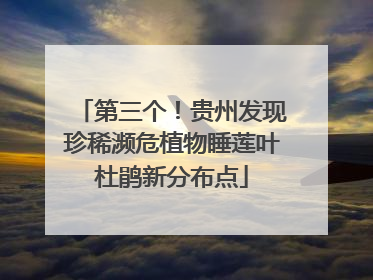 第三个！贵州发现珍稀濒危植物睡莲叶杜鹃新分布点