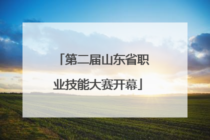 第二届山东省职业技能大赛开幕