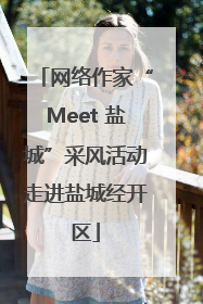 网络作家“Meet 盐城”采风活动走进盐城经开区