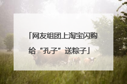 网友组团上淘宝闪购给“孔子”送粽子