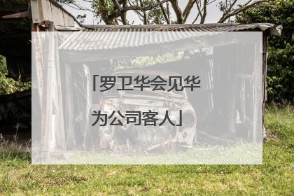罗卫华会见华为公司客人