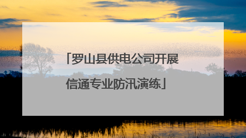 罗山县供电公司开展信通专业防汛演练