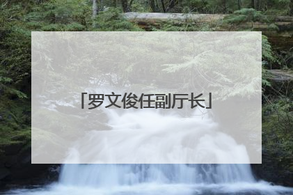 罗文俊任副厅长