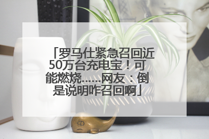 罗马仕紧急召回近50万台充电宝！可能燃烧……网友：倒是说明咋召回啊