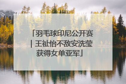 羽毛球印尼公开赛｜王祉怡不敌安洗莹 获得女单亚军