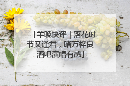 羊晚快评｜落花时节又逢君，睹万梓良酒吧演唱有感