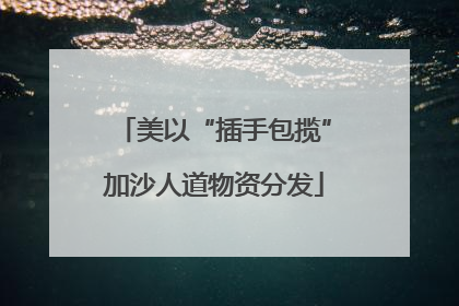 美以“插手包揽”加沙人道物资分发